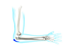 Joint Instability / Acute and Chronic